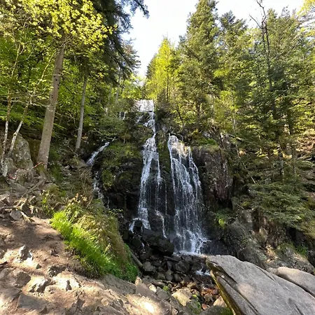 Ma Montagne Chic 4 *