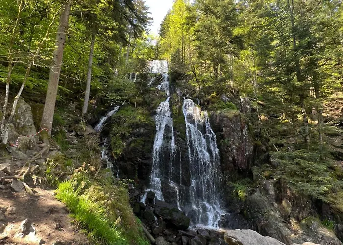 Ma Montagne Chic 4 *